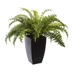 Planta artificiala in ghiveci negru, inaltime 55 cm, feriga Boston