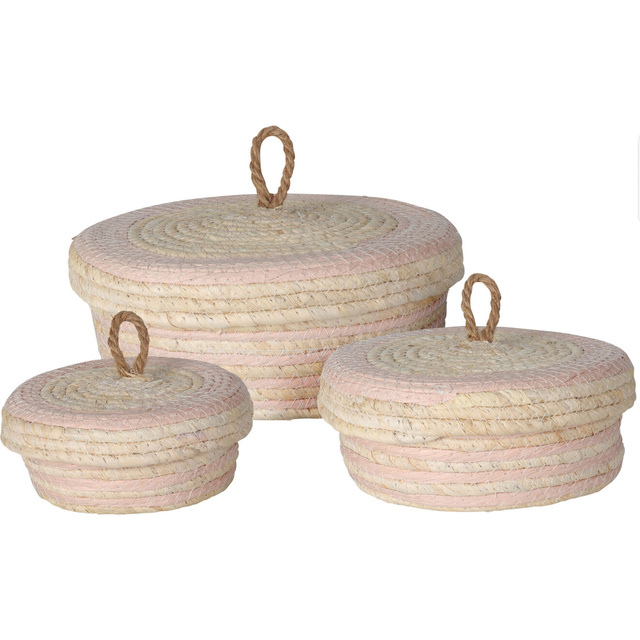 Recipiente de depozitare cu capac, 3 buc