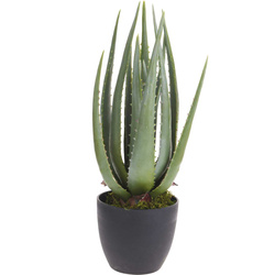Planta artificiala de aloe, 45 cm