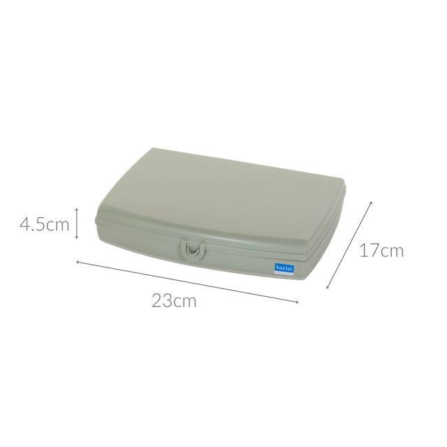 Caserola Koziol Panorama, Plastic, 23 x 18 x 4 cm