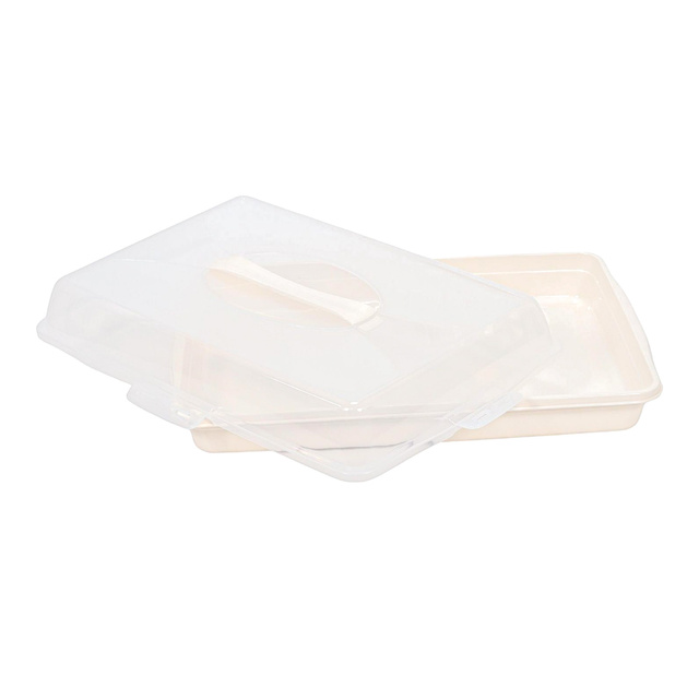 Cutie portabila pentru tort, 44 x 31 x 10 cm