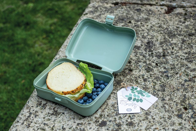 Cutie de pranz pentru copii compartimentata DREAMS, KOZIOL