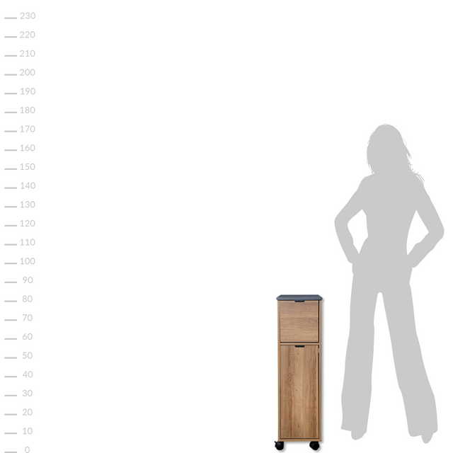 Carucior de bucatarie cu cos de gunoi, rustic, KESPER