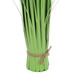 Planta artificiala cu iarba, 60 cm