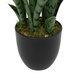 Sansevieria cu ghiveci din plastic Toby înălțime 90 cm