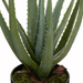 Aloe Vera artificiala in ghiveci, inaltime 44 cm
