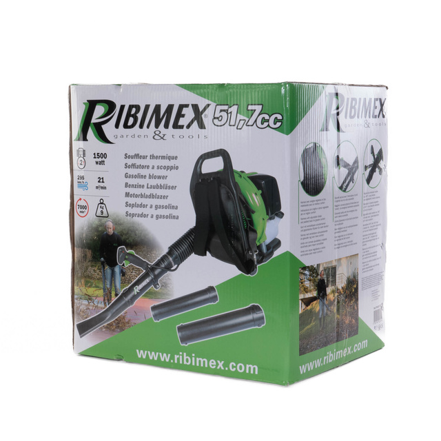 Suflanta pentru frunze RIBIMEX, 15000 wati