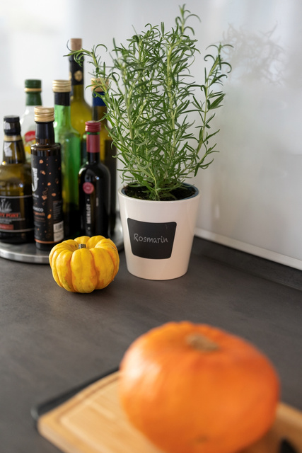 Ghiveci din ceramică WAIA, alb, ∅ 13, WENKO