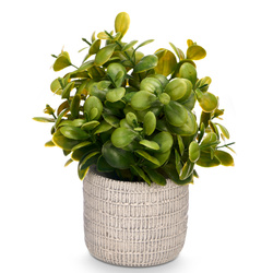 Suculent artificial în ghiveci FEGREE, Ø 10 cm