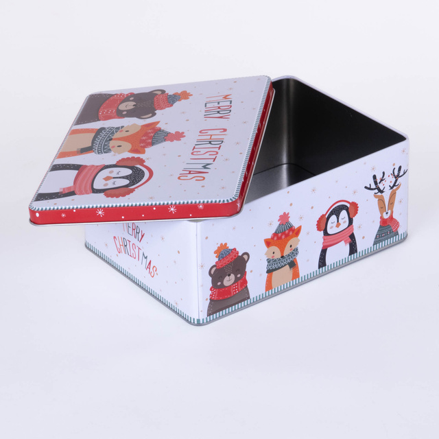 Cutie biscuiti, tabla, 22 x 16,2 x 9,1 cm