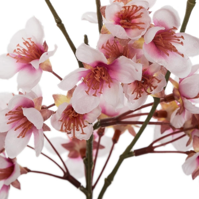 Vaza din sticlă transparentă, 46x6 cm, Atmosphera 