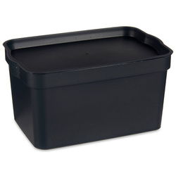 Cutie de depozitare din plastic, 2,3 l