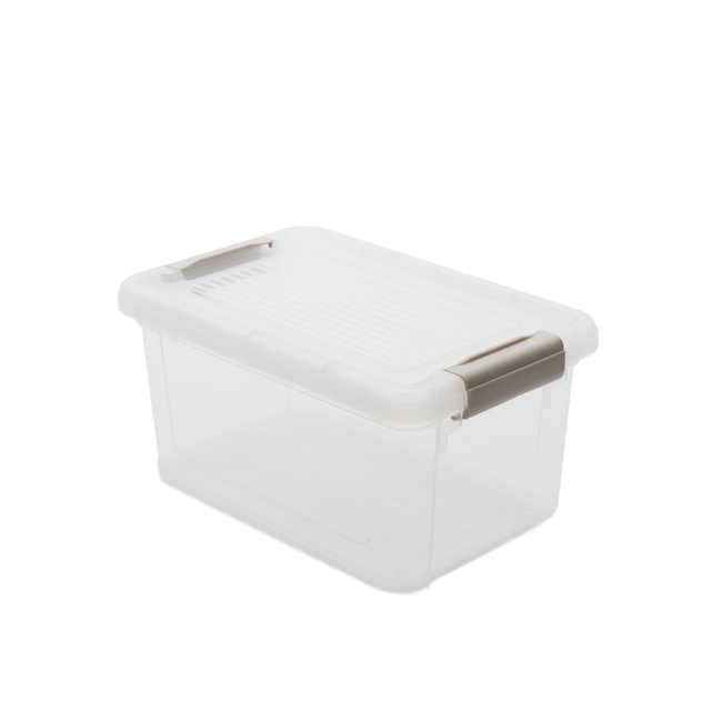 Cutie de depozitare transparenta, 29 x 19 x 14,5 cm