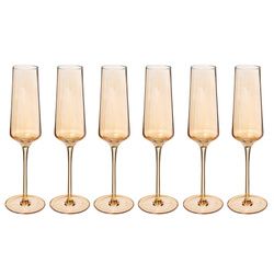 Pahare de sampanie OLGA, 6 bucati