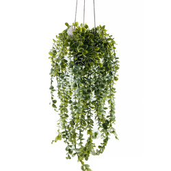 Plantă artificială suspendată Senecio, 60 cm