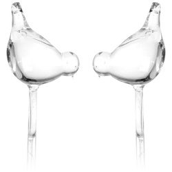 Irigator din sticlă pentru udarea plantelor PTAK - 2 bucăți în set