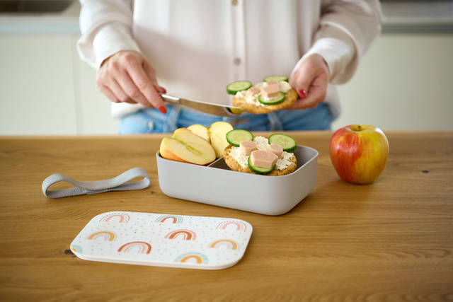 Cutie de pranz din plastic RAINBOW, 19 x 12,5 x 6,5 cm