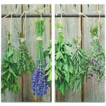 Plăci de protecție din sticlă LAWENDA pentru aragaz – 2 bucăți, ZELLER, model 7