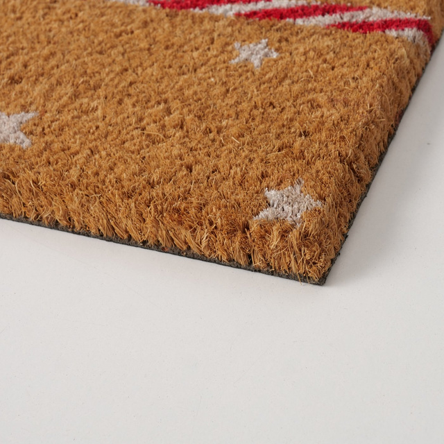 Covoare de intrare JULEBREV, 60 x 40 cm