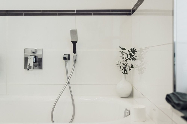 Furtun de duș 175 cm, argintiu, Wenko