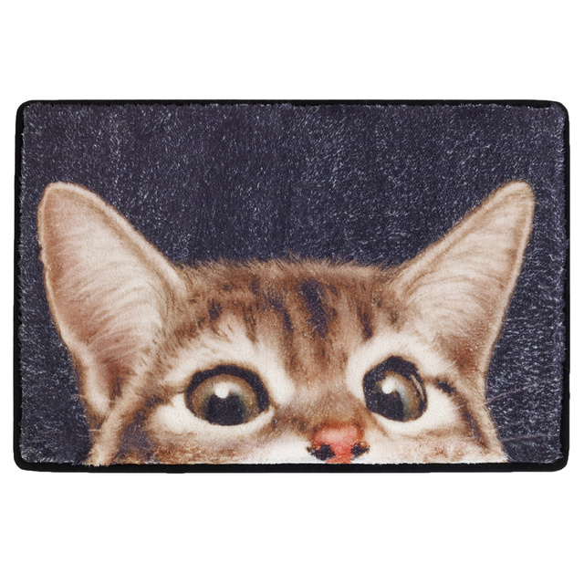 Covoras de intrare CAT, 60 x 40 cm