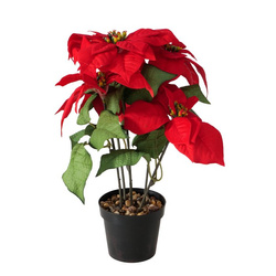 Steaua artificială de Crăciun în ghiveci, înălțime 40 cm