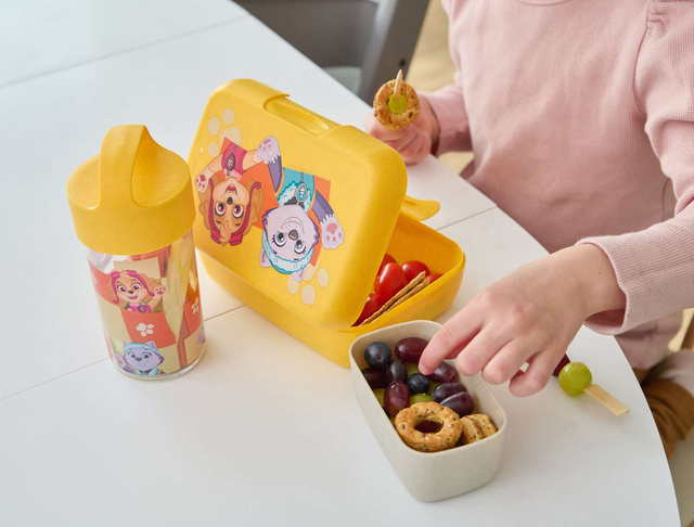 Sticla de apa BUDDY SNACK Patrula cățelușilor, 500 ml, KOZIOL