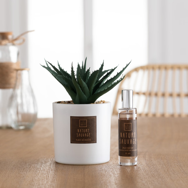 Plantă artificială cu ulei parfumat PUNCHY CACTUS