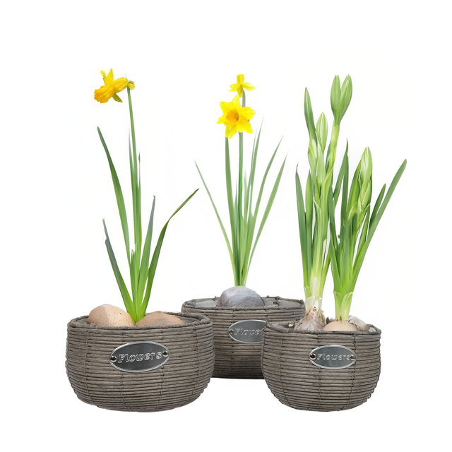 Set ghivece rotunde, 3 buc, diferite dimensiuni