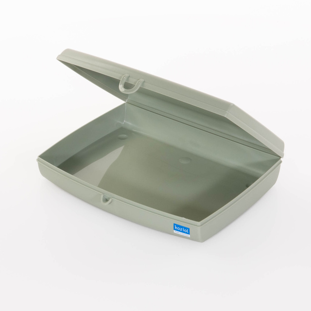 Caserola Koziol Panorama, Plastic, 23 x 18 x 4 cm