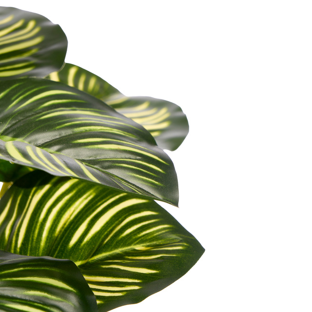 Plantă artificială CALATHEA ORBIFOLIA, 37 cm