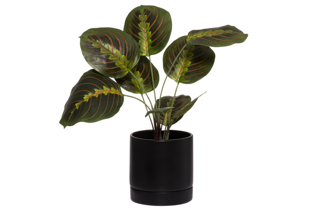 Covor rotund din bumbac cu litere, Ø 120 cm 