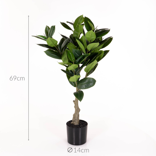 Planta artificială arbore de cauciuc, 69 cm