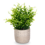 Suculent artificial în ghiveci FEGREE, Ø 10 cm