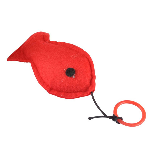 Set jucării pentru pisici, 6 piese