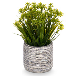 Suculent artificial în ghiveci cu dungi FEGREE, Ø 10 cm