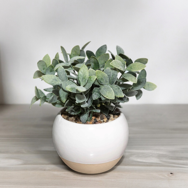 Planta artificiala, Ø 12,5 cm, ghiveci alb