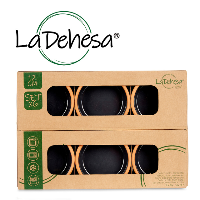 Vas de ceramica, vas cu interior vitrat