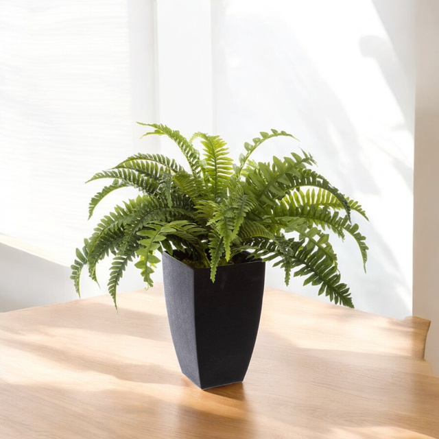 Planta artificiala in ghiveci negru, inaltime 55 cm, feriga Boston