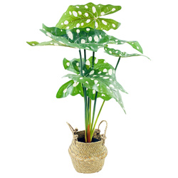 Floare artificială în coș