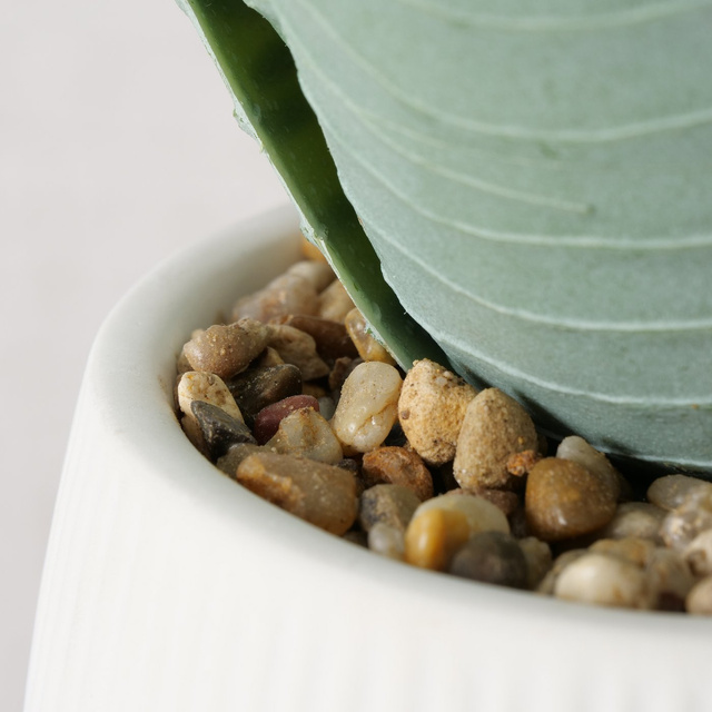 Planta artificiala in ghiveci Mondrago, 29 cm, alb-verde deschis