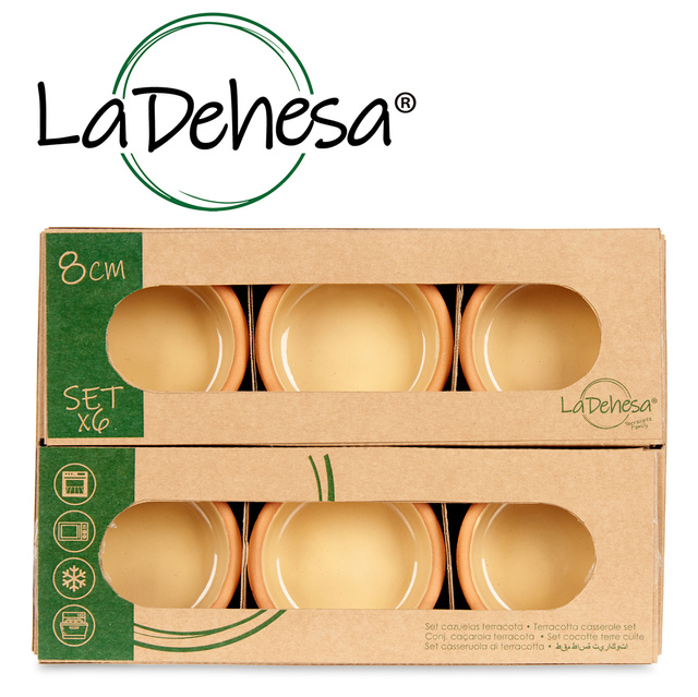 Vas de ceramica, vas cu interior vitrat