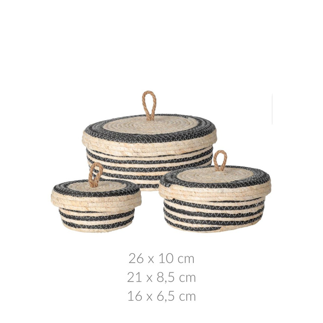 Recipiente de depozitare cu capac, 3 buc