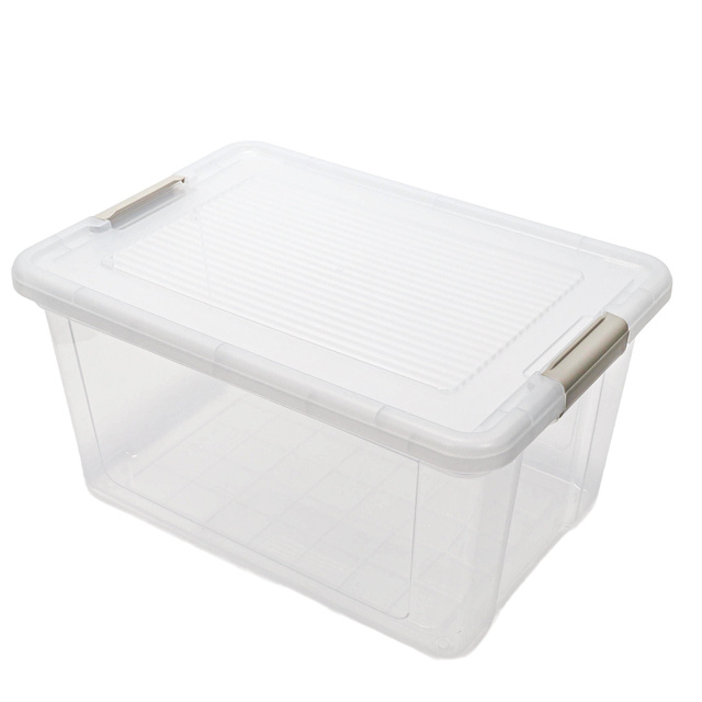 Cutie de depozitare transparenta, 49 x 35 x 25,5 cm