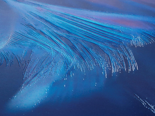 Capac WC cu funcție Easy Close SOFTNESS, Duroplast, WENKO