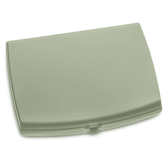 Caserola Koziol Panorama, Plastic, 23 x 18 x 4 cm