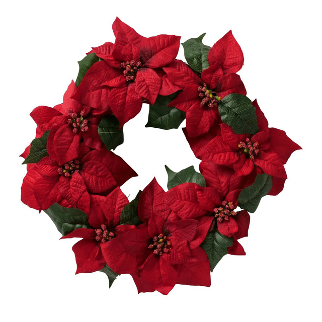 Coroană de Crăciun din flori de stea, Ø 50 cm