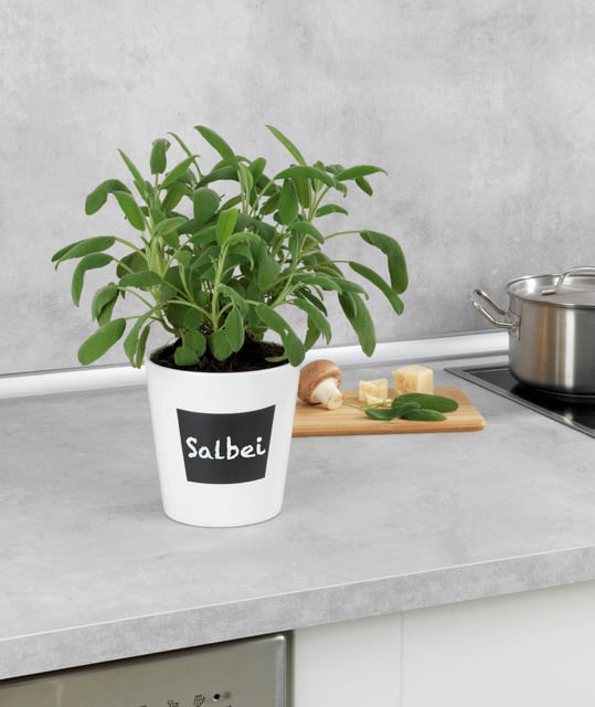 Ghiveci din ceramică WAIA, alb, ∅ 13, WENKO