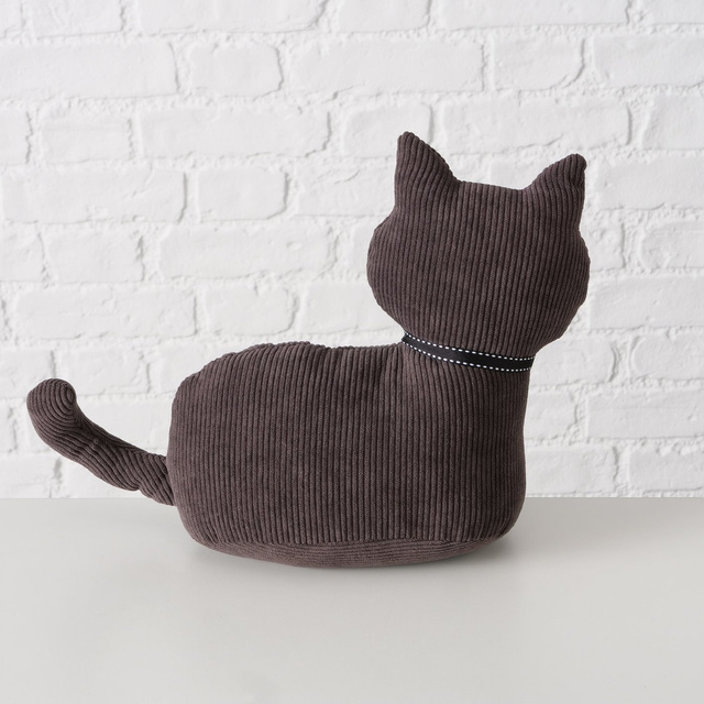 Pisicuță de oprire a ușii, FIDO