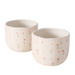 Ghivece ceramiceBlumi, pentru flori, 2 buc